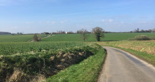 Looking towards Mill Green 